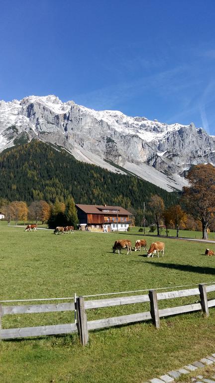 Alpenhaus Birkhahn Hotel Ramsau am Dachstein Exterior photo